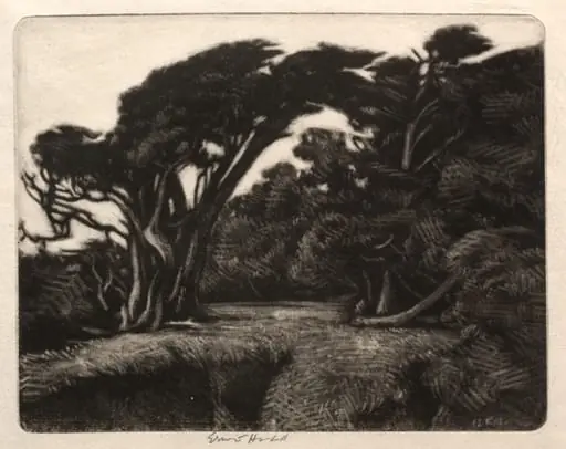 Cypress Bower, by Ernest Haskell, 1910