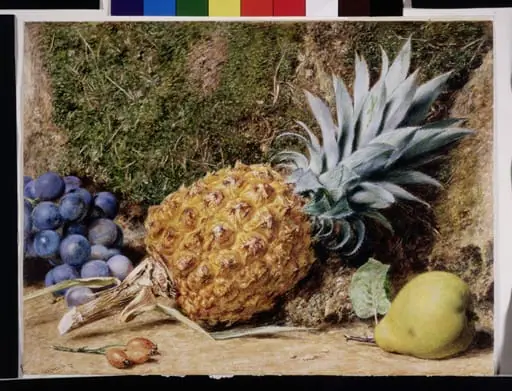 Pinapple with other fruit, by William Henry Hunt, watercolor, 1837