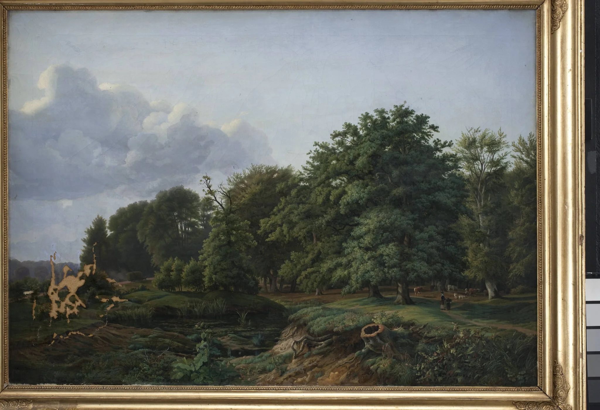 A Forrest near Hellebæk in the North of Zealand. Afternoon., detail