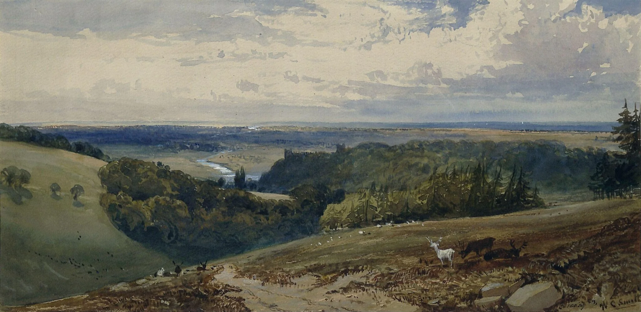 Arundel Park, Sussex, detail