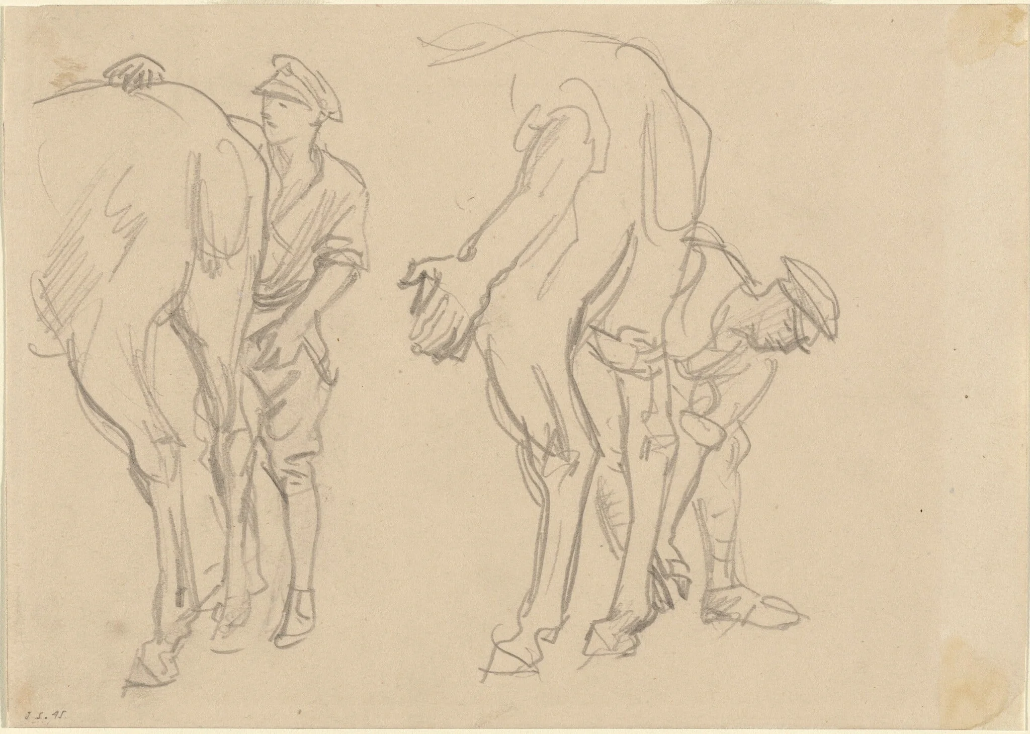 Studies for "Scots Grey", detail