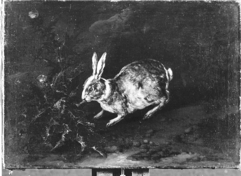 Kaninchen, detail