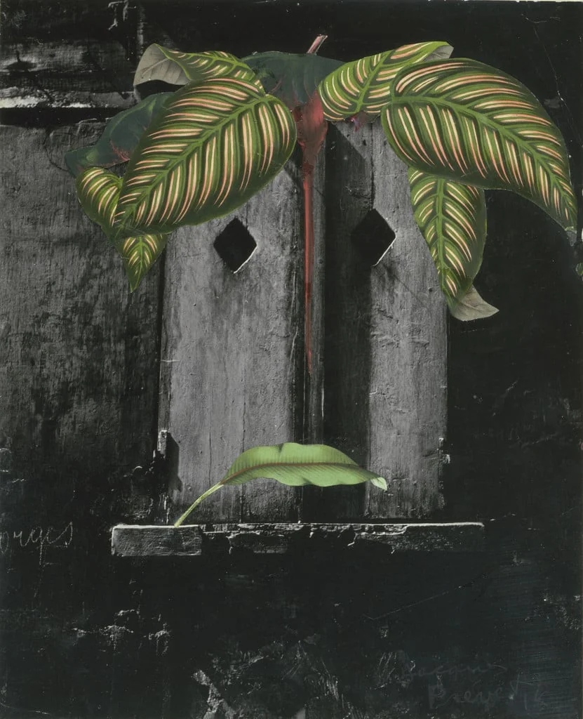 Untitled, detail