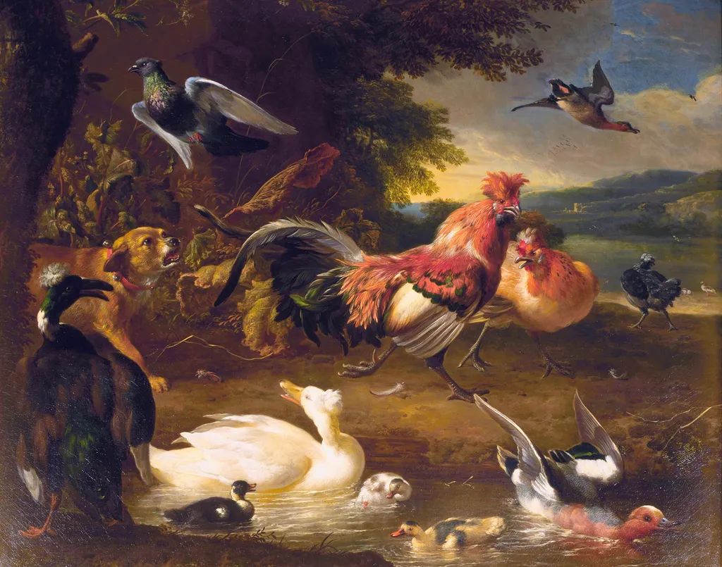 Chickens and Ducks, by Melchior d' Hondecoeter, oil, 1675