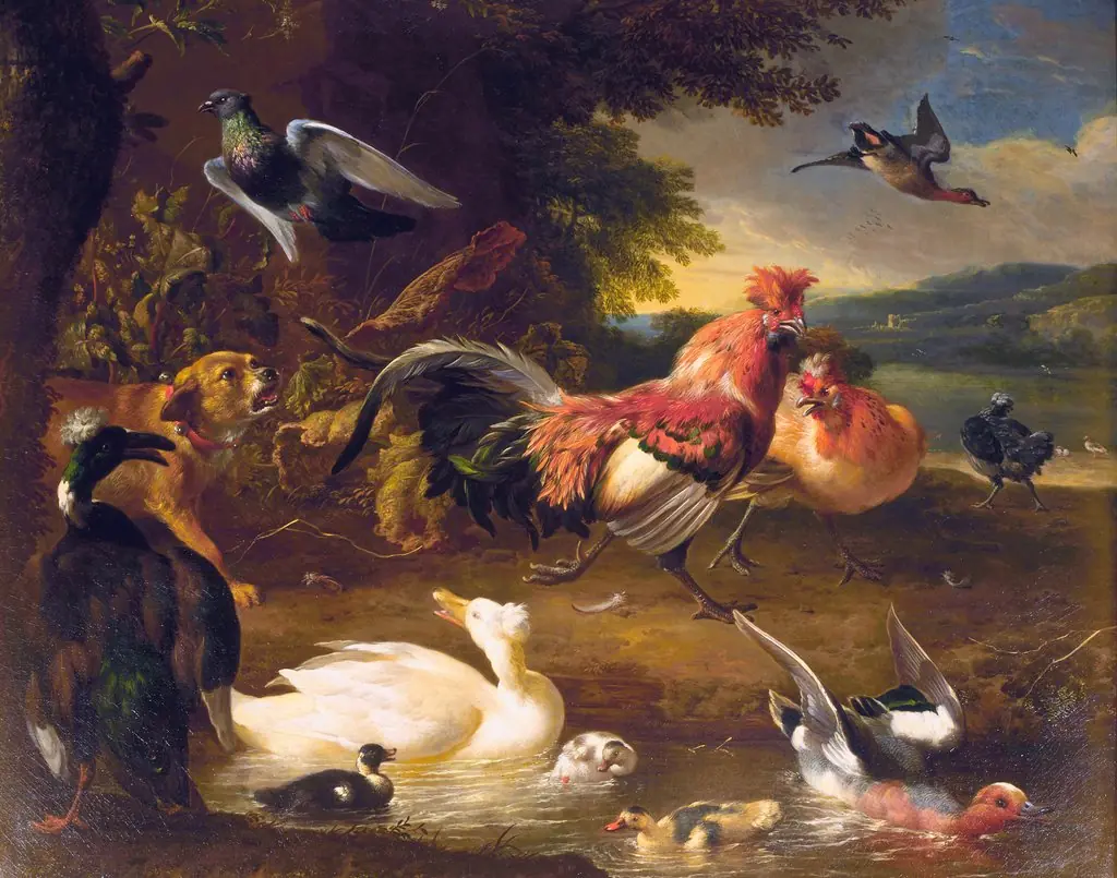Chickens and Ducks, by Melchior d' Hondecoeter, oil, 1675