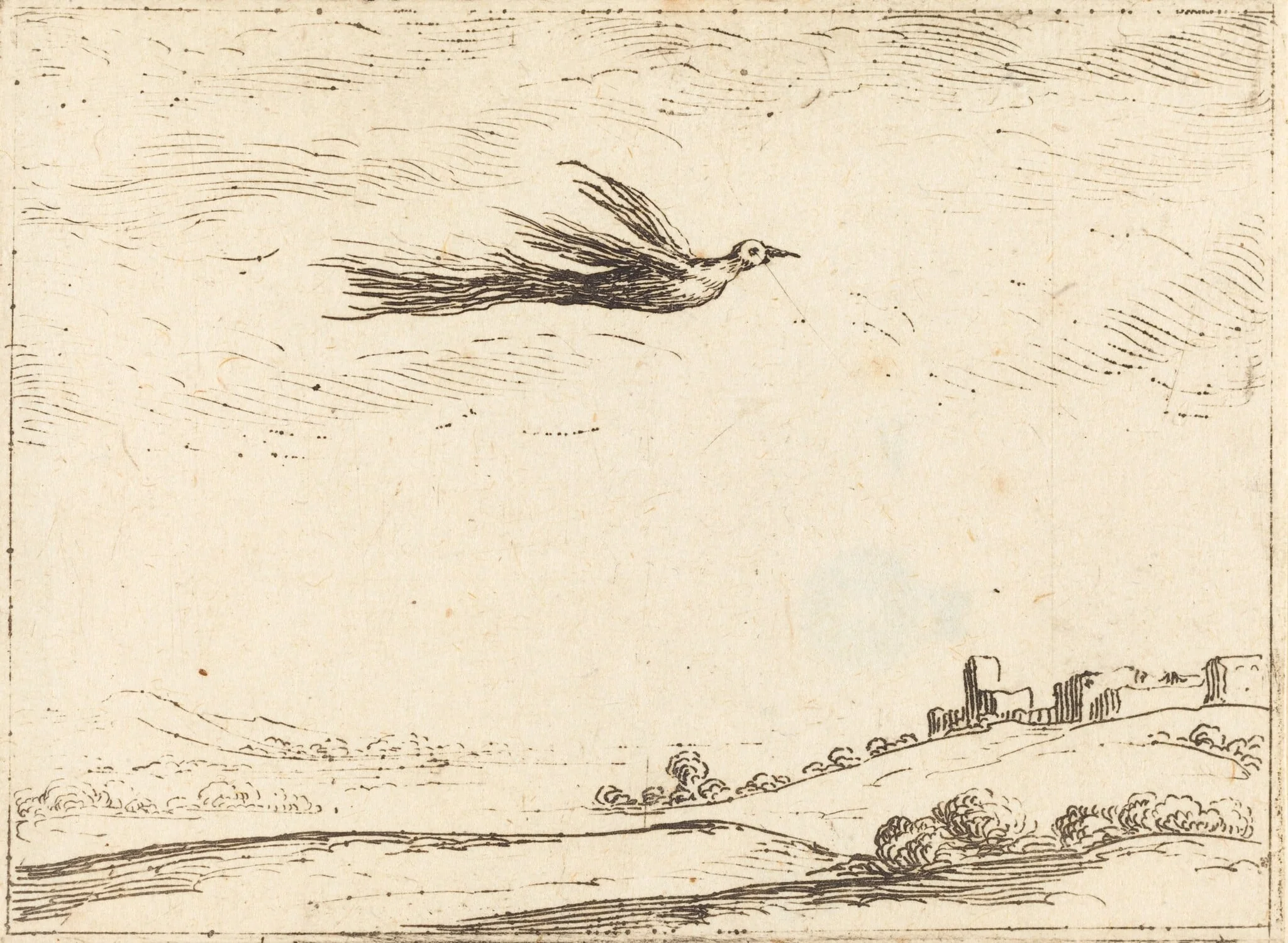 Bird of Paradise, detail