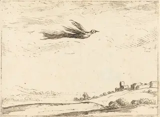 Bird of Paradise, by Jacques Callot, ink, 1628