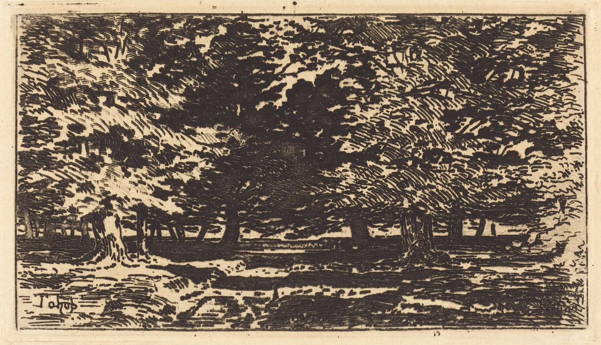 Forêt, detail