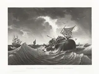 Pêche du Cachalot, Cachalot Fishery, by Friedrich von Martens, ink, 1834