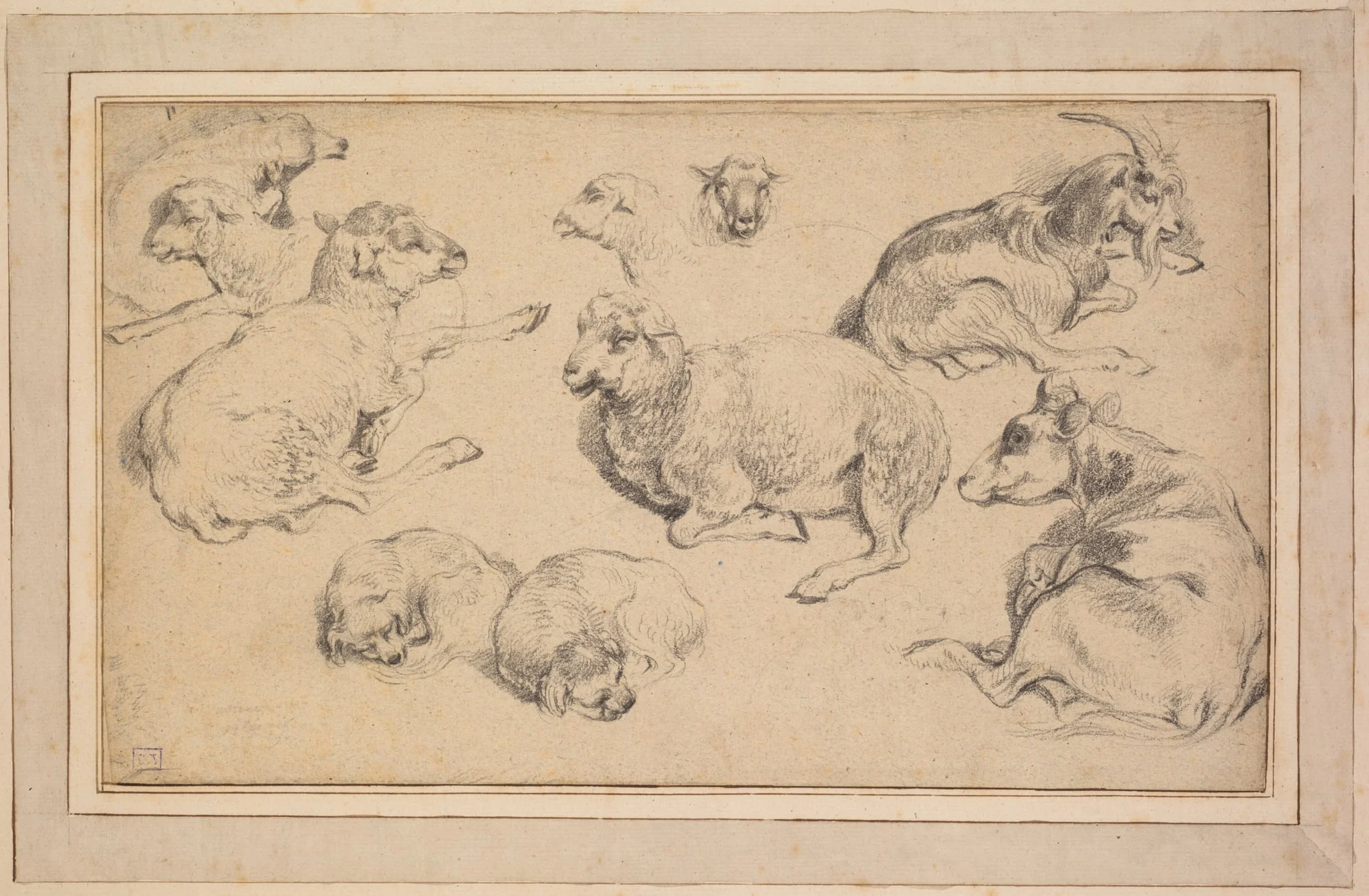 Sheet of Studies with Sheep, Goats, and Dogs, detail