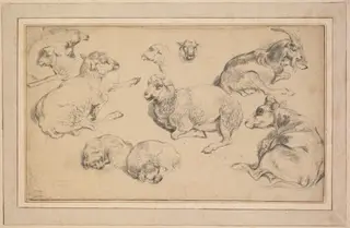 Sheet of Studies with Sheep, Goats, and Dogs, by Jean-Baptiste Huet, 1780