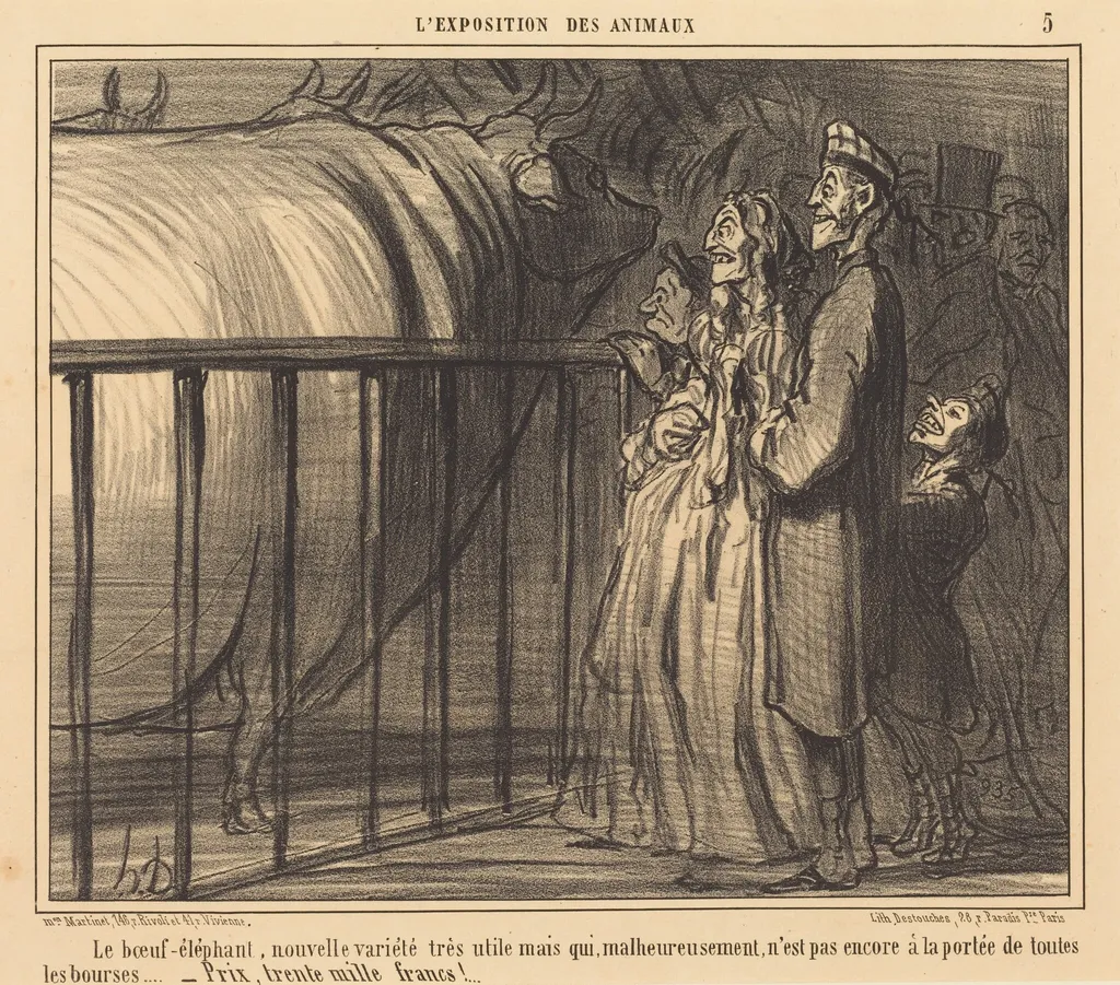 Le Boeuf-éléphant nouvelle variété, by Honoré Daumier, ink, 1856
