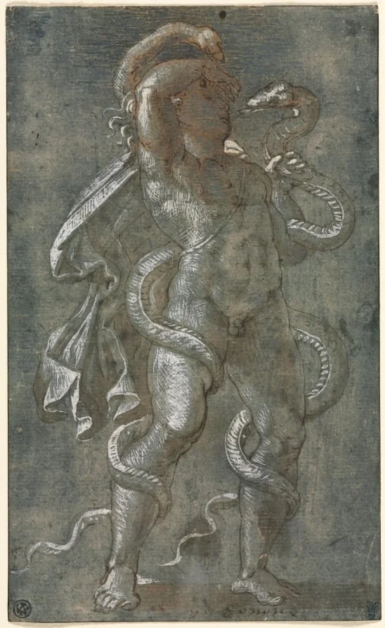 Man Entwined by Two Snakes, detail