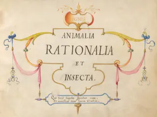 Title Page, by Joris Hoefnagel, gouache, 1594