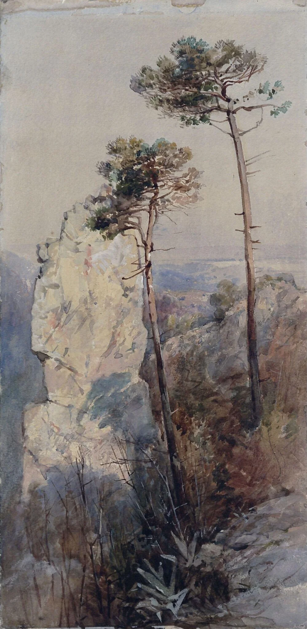 Rocks and Pines, Sorrento, detail