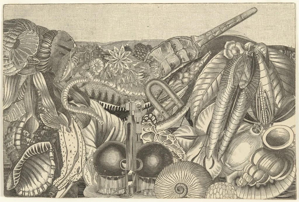Untitled, detail