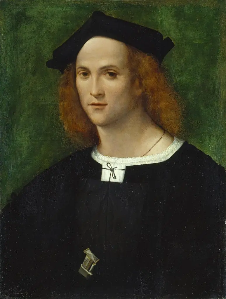 Portrait of a Young Man, by Andrea del Brescianino, oil, 1520