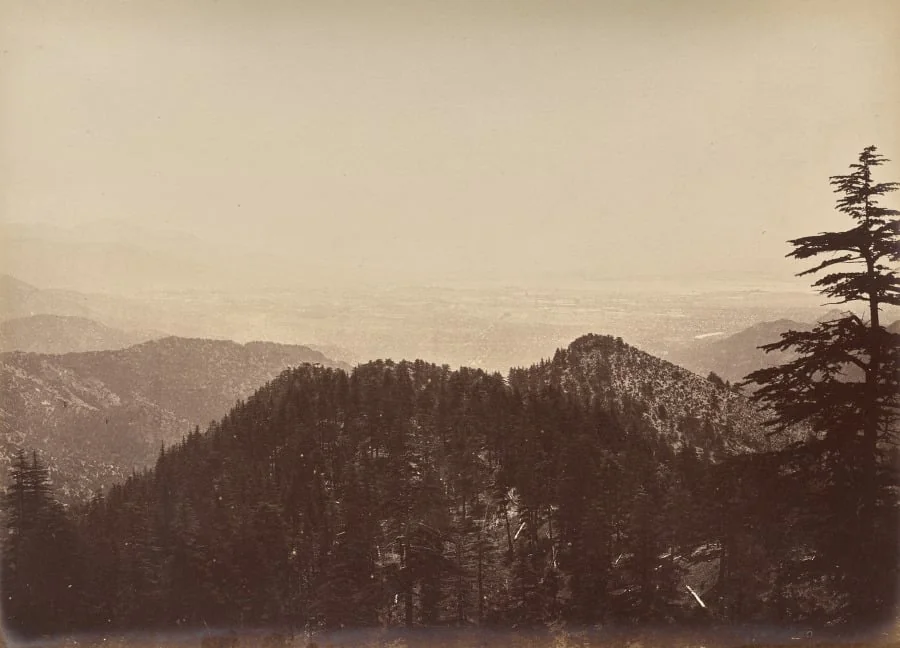 Untitled (Landscape Scene), detail