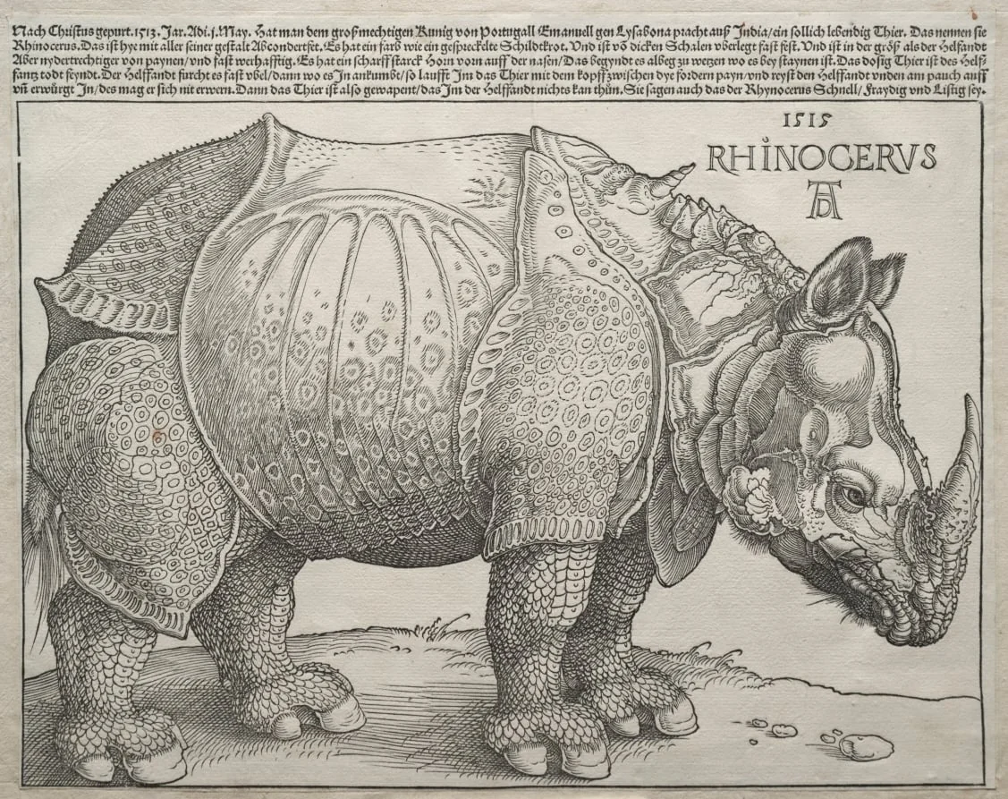 The Rhinoceros, detail