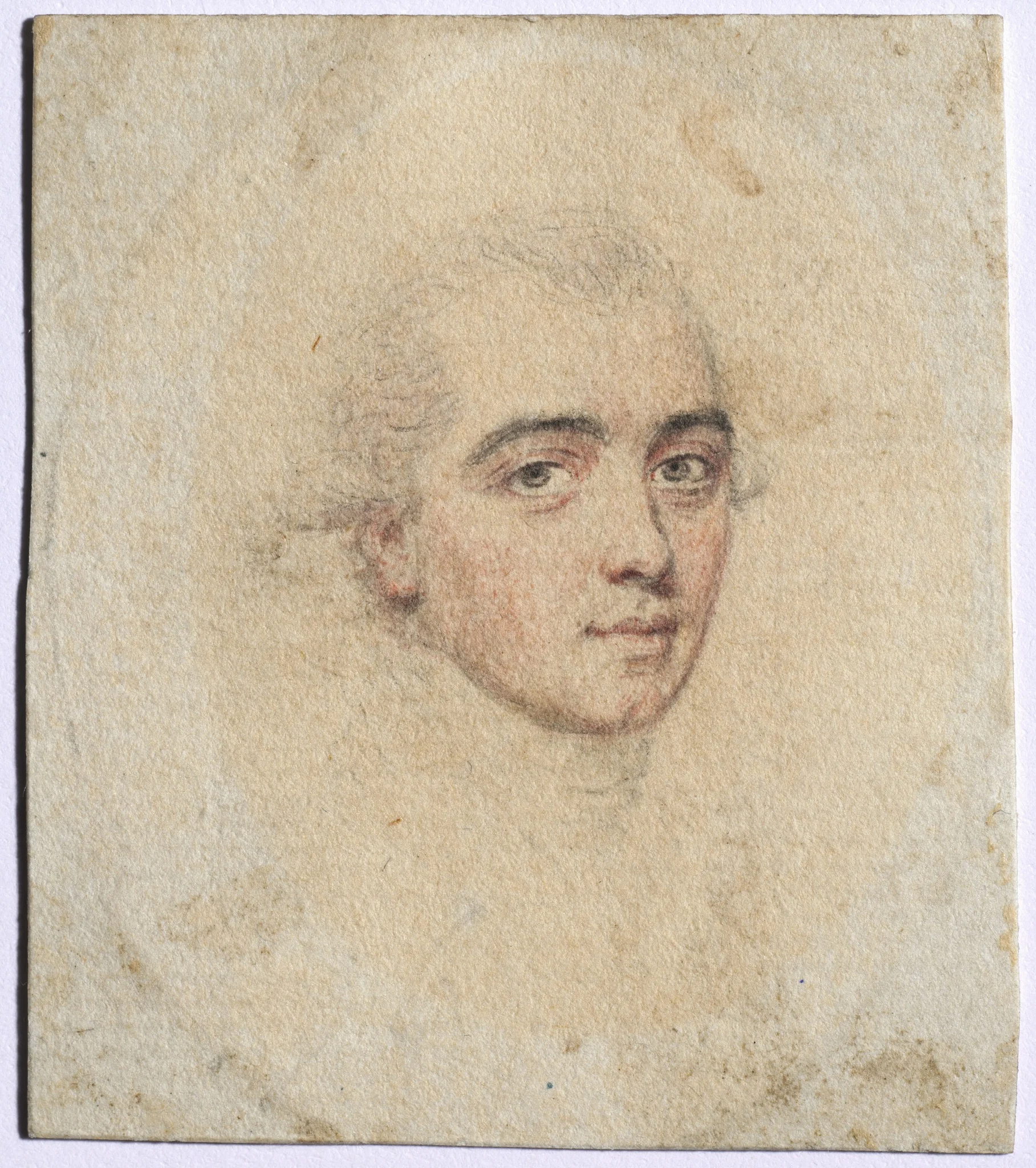 Portrait of M. de Viapre, detail