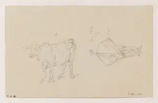 Drawings of a cow and a standing figure, by George Chinnery, 19