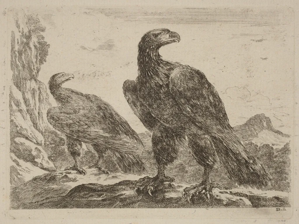 Two Eagles, Both with Heads Turned to the Right, by Stefano Della Bella, ink, 1637