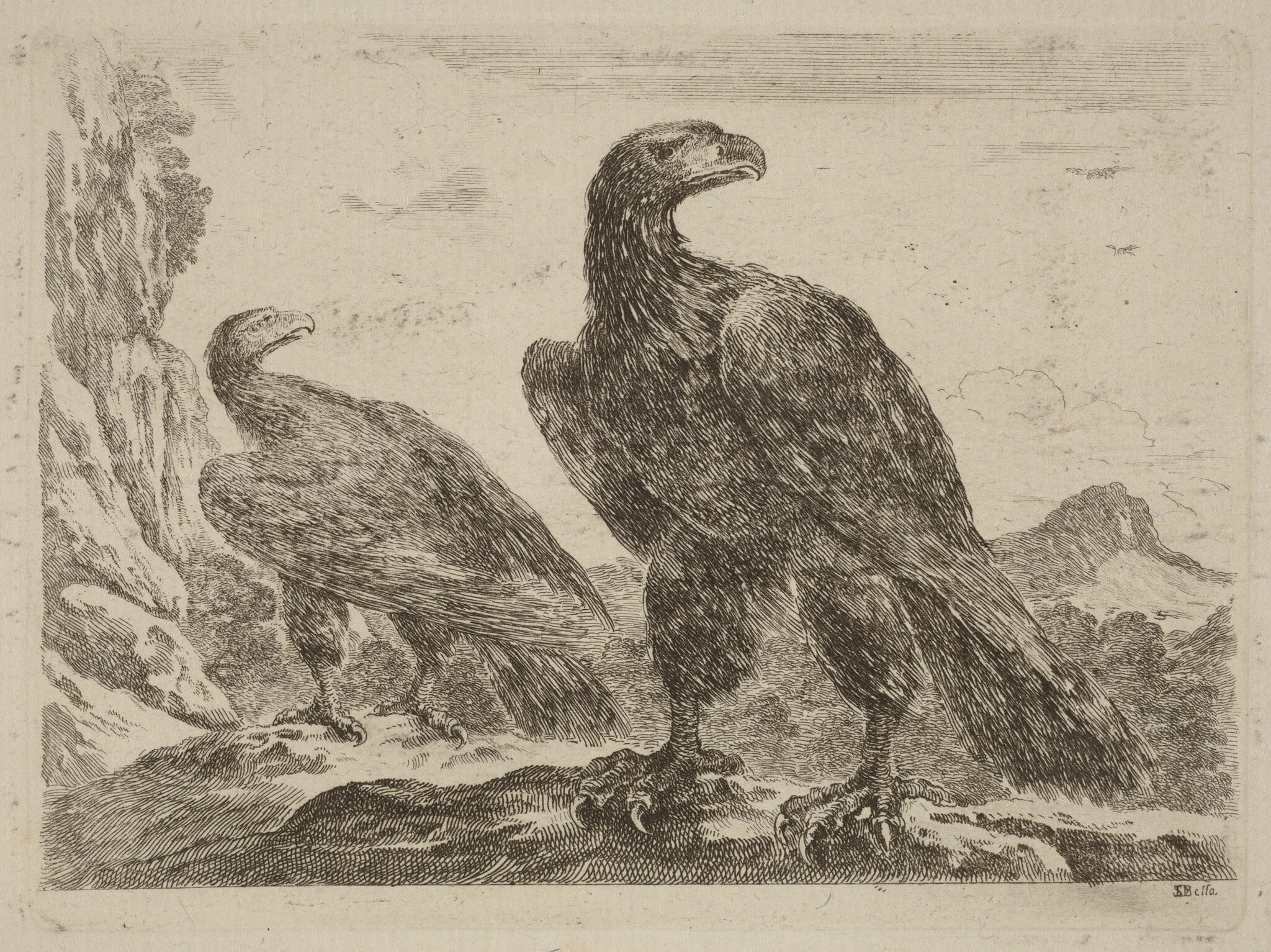 Two Eagles, Both with Heads Turned to the Right, detail