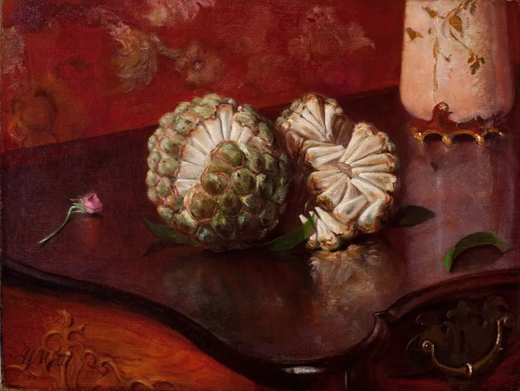 Sweetsop, by Agostinho José da Mota, oil, 1861