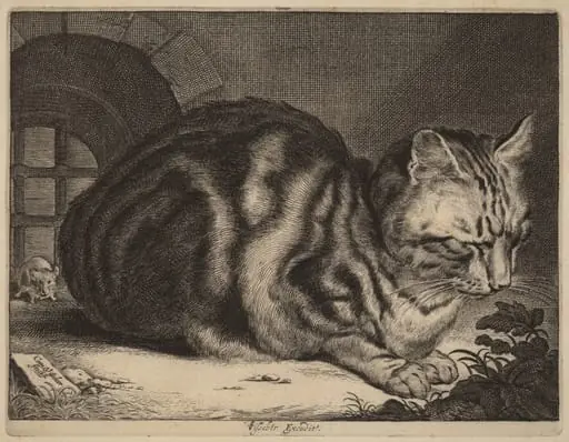 The Large Cat, by Cornelis Visscher, ink, 1657