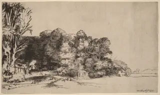 Clump of Trees with a Vista, by Rembrandt van Rijn, ink, 1652