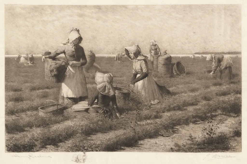 Cranberry Pickers, by Gustave Mercier, ink, 1890