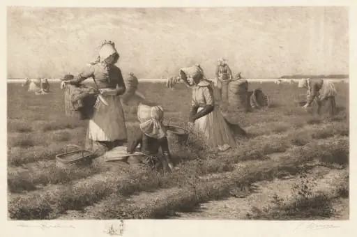 Cranberry Pickers, by Gustave Mercier, ink, 1890