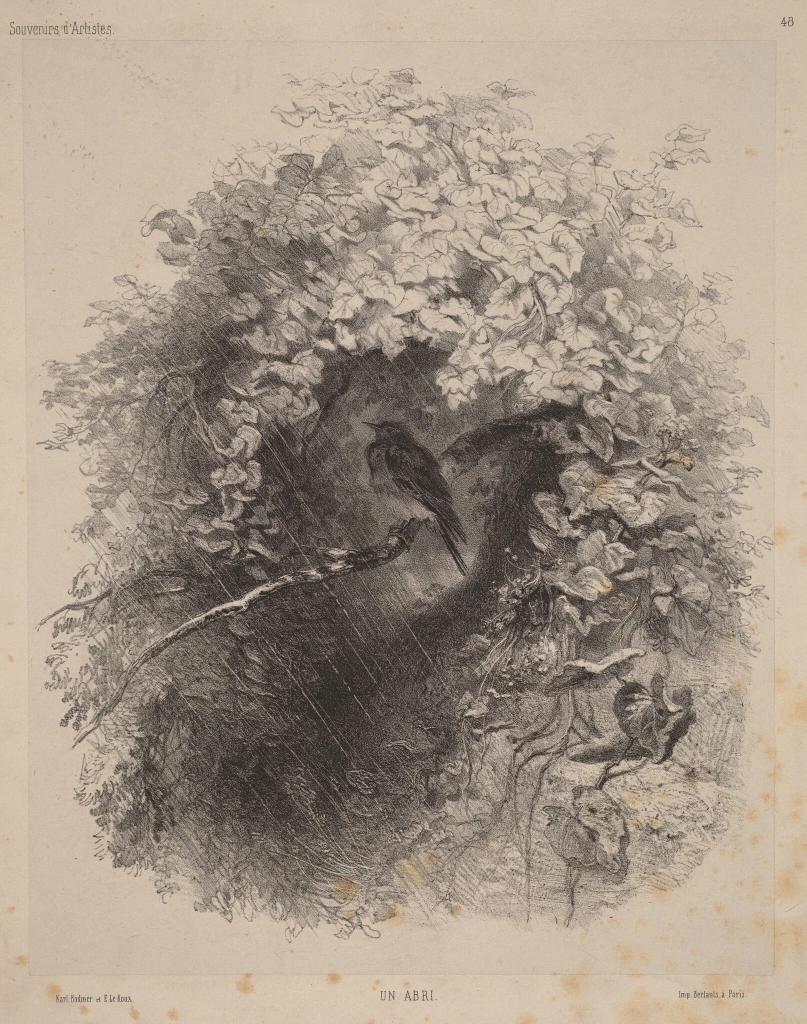 Un Abri (A Shelter), detail
