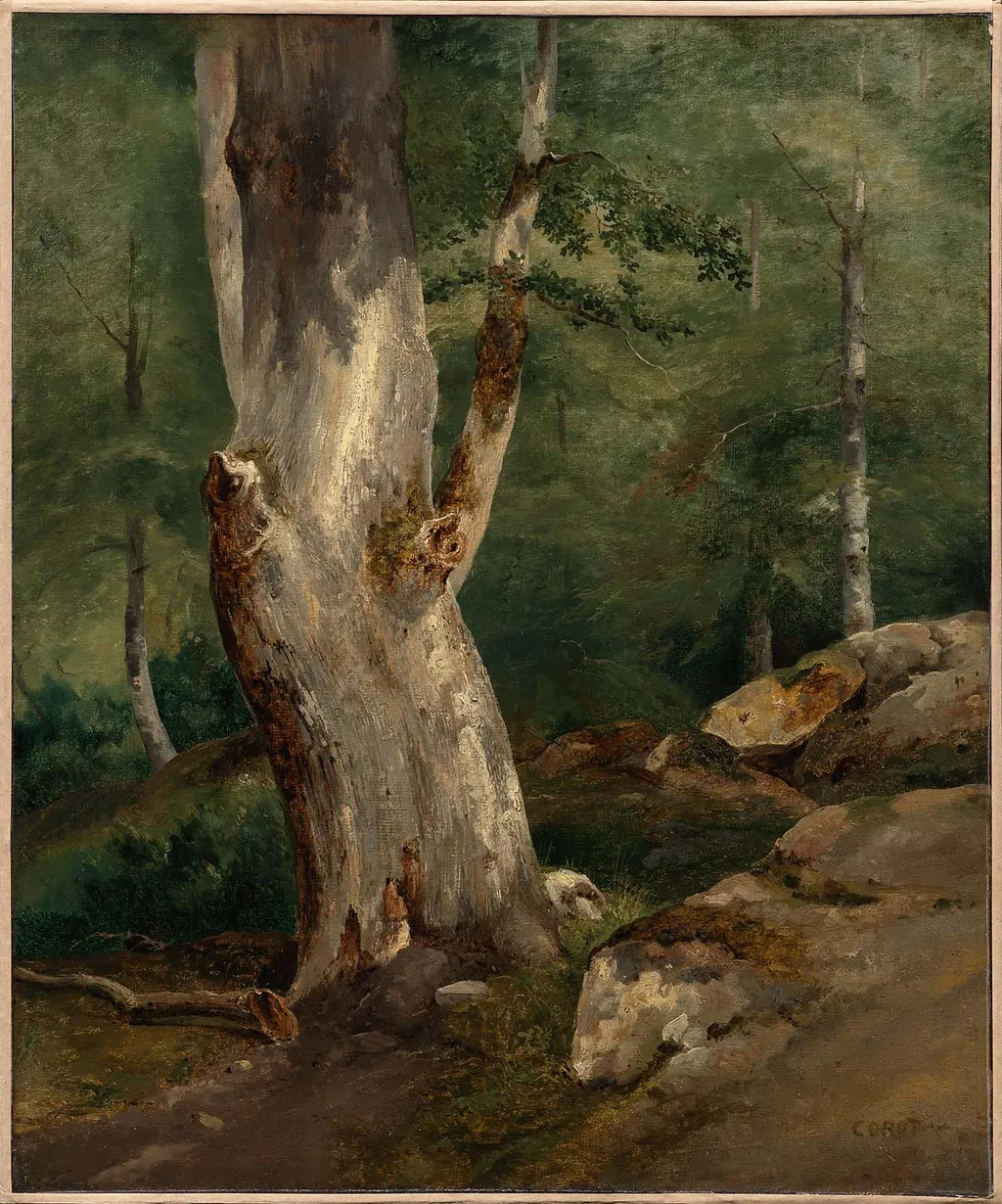 Old Beech Tree, by Jean Baptiste Camille Corot, unspecified, 1829