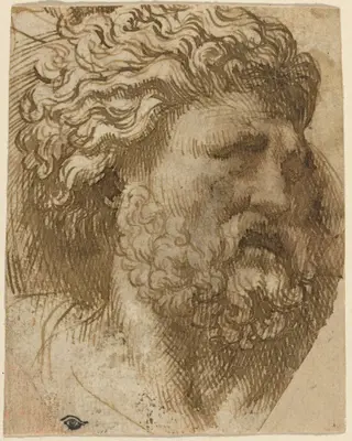Head of a Man, by Domenico Campagnola, ink, 1532