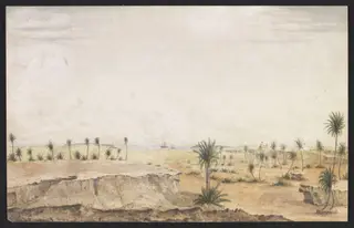 Red Sea. Date Palms and Arab Fort on the Island of Camaran, by Robert Moresby, watercolor, 1832