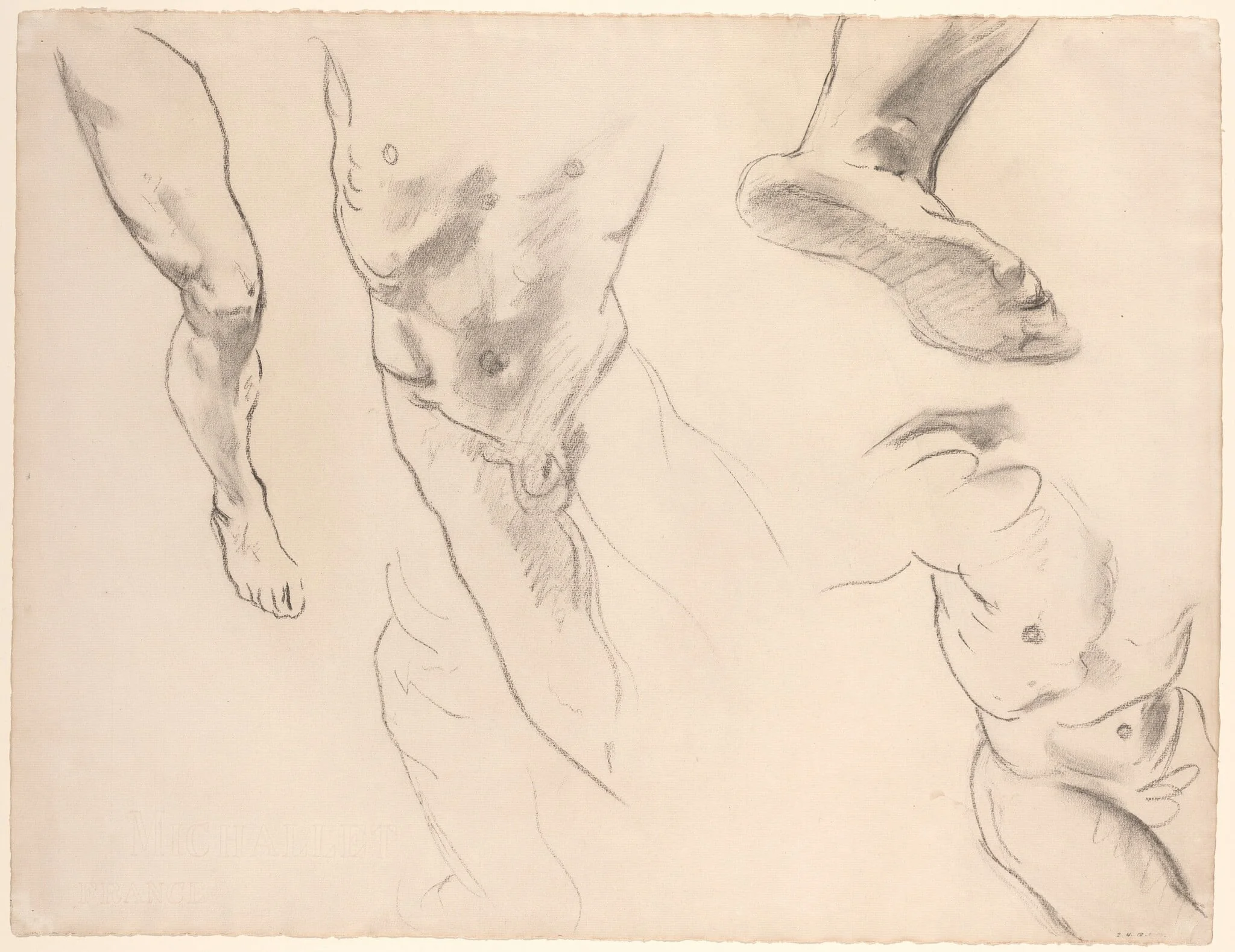 Figure Studies of a Nude Youth, detail