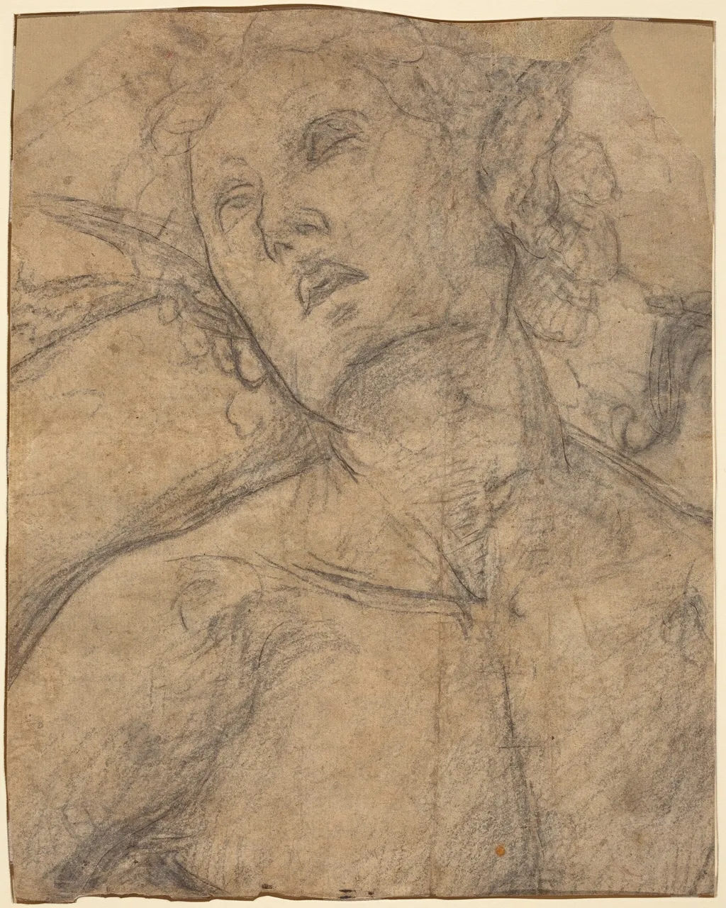 Bust of a Youth Looking Upward [recto], by Luca Signorelli, chalk, 1500