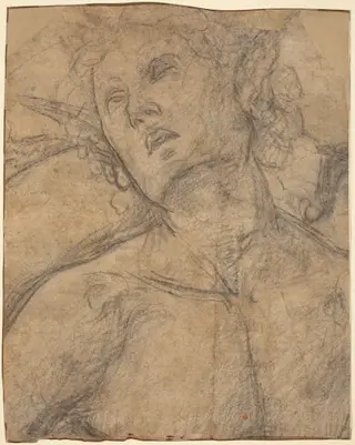Bust of a Youth Looking Upward [recto], by Luca Signorelli, chalk, 1500