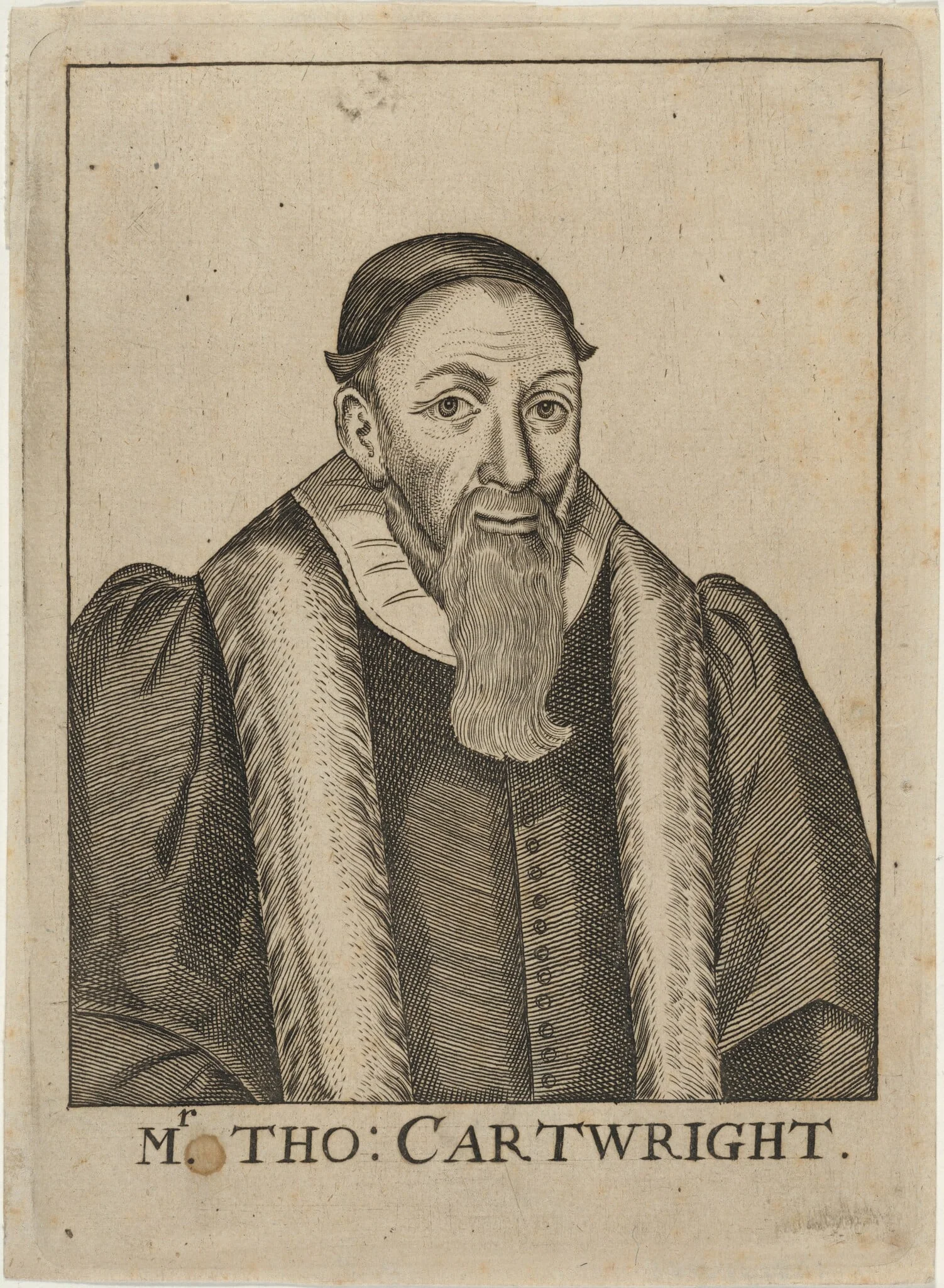 Thomas Cartwright, Puritan Divine, detail