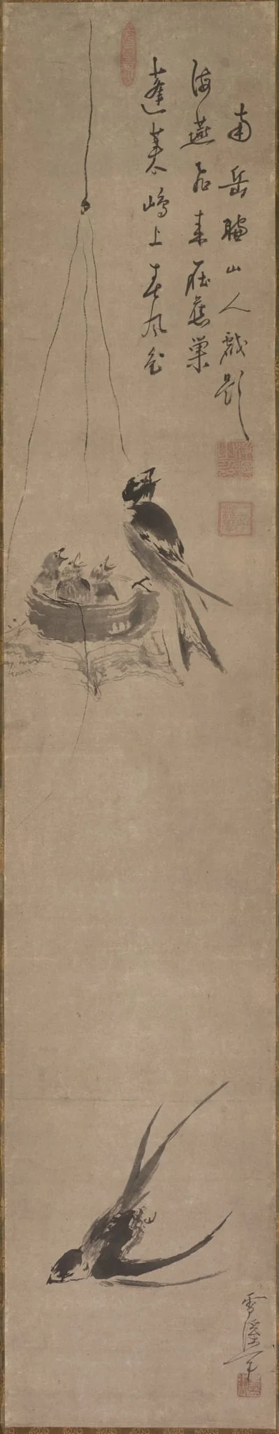 Swallows, detail