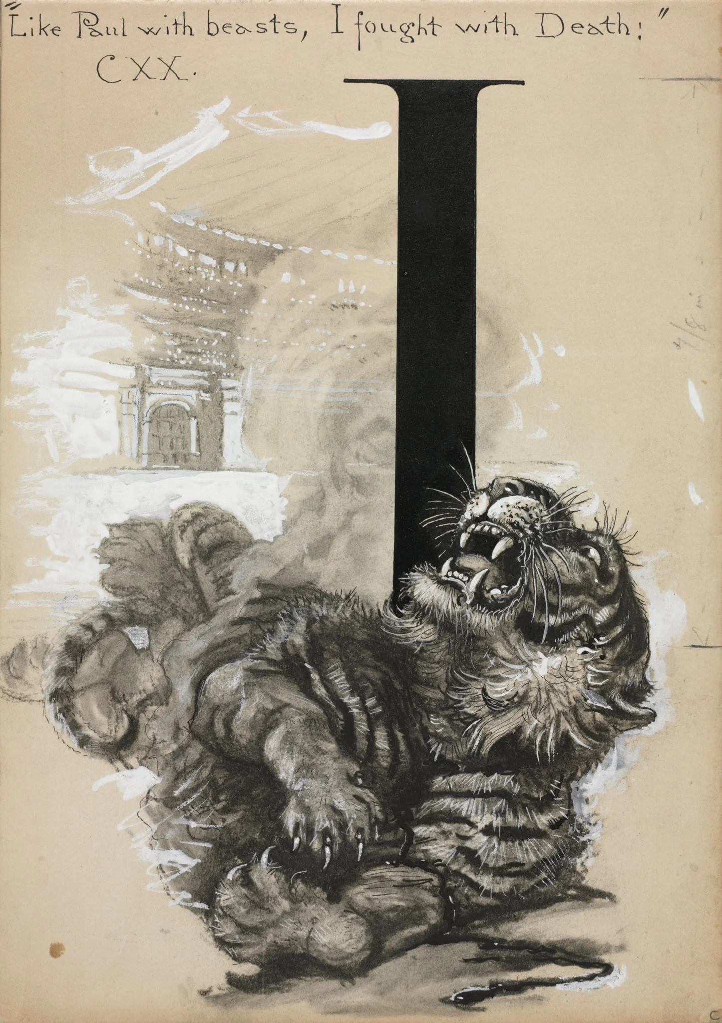 Tiger, detail