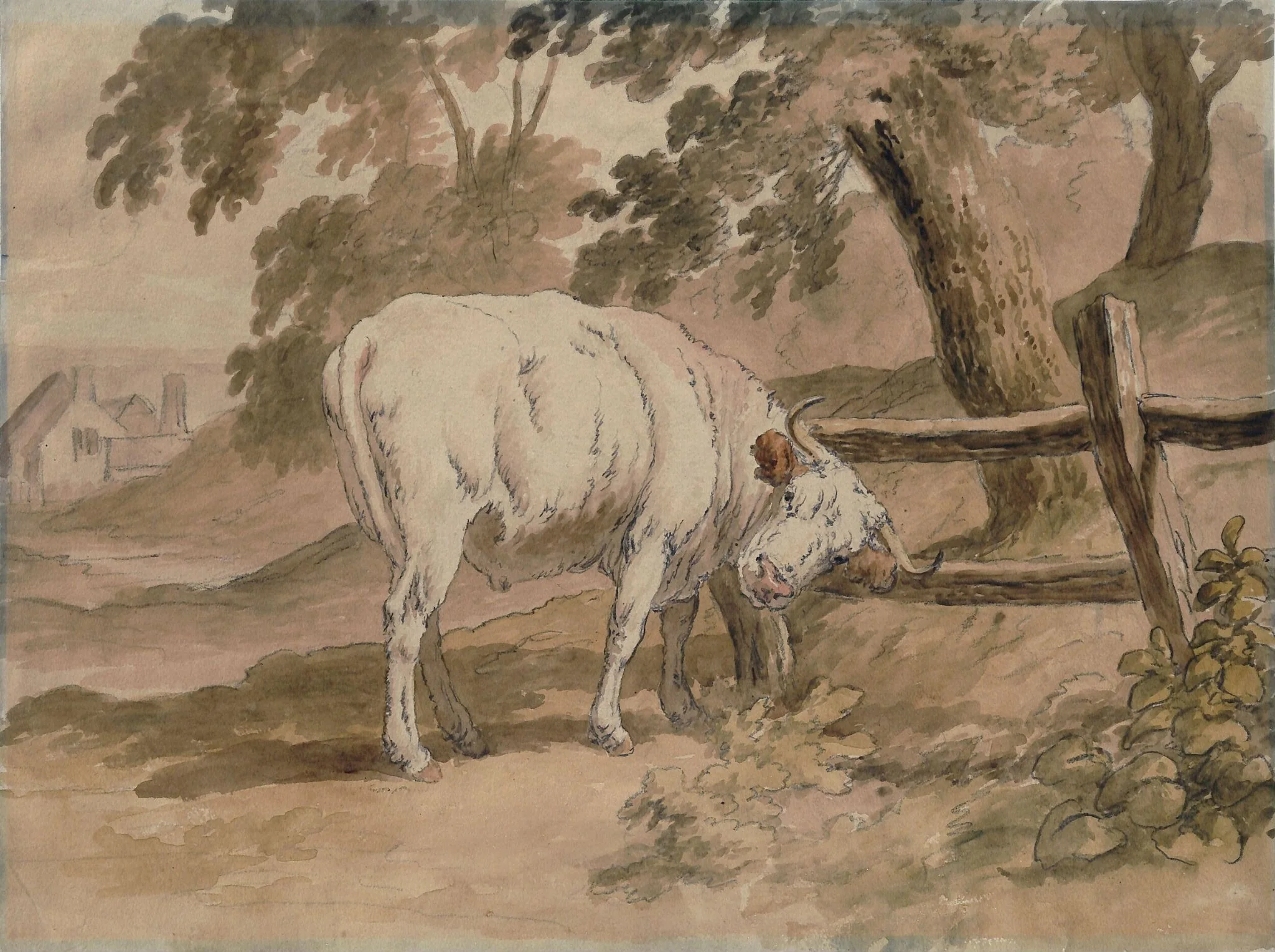 Ox Rubbing Itself Against Rails, detail