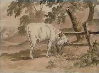 Ox Rubbing Itself Against Rails, by Robert Hills, watercolor, 1790