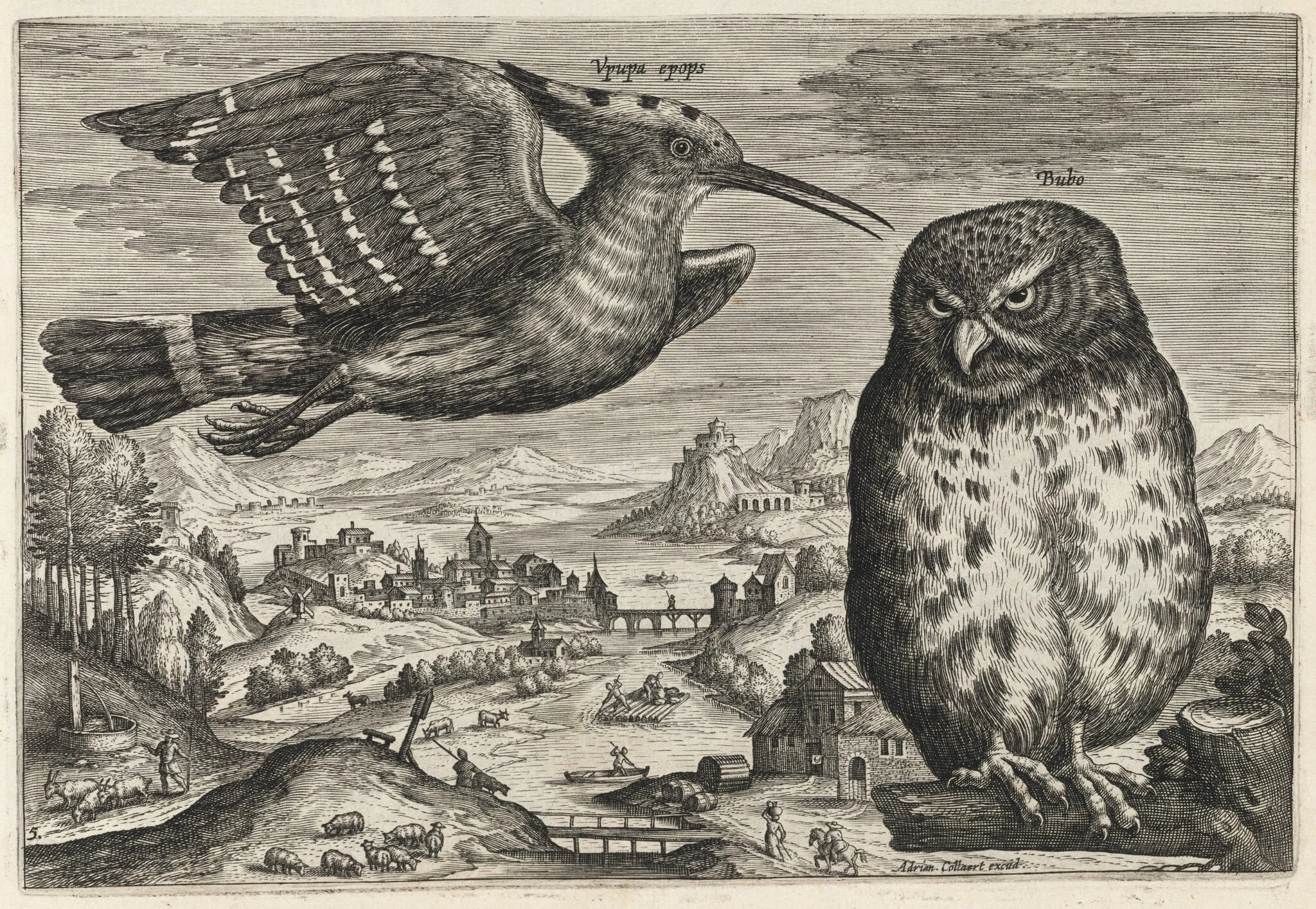 Hoopoe and Owl, detail