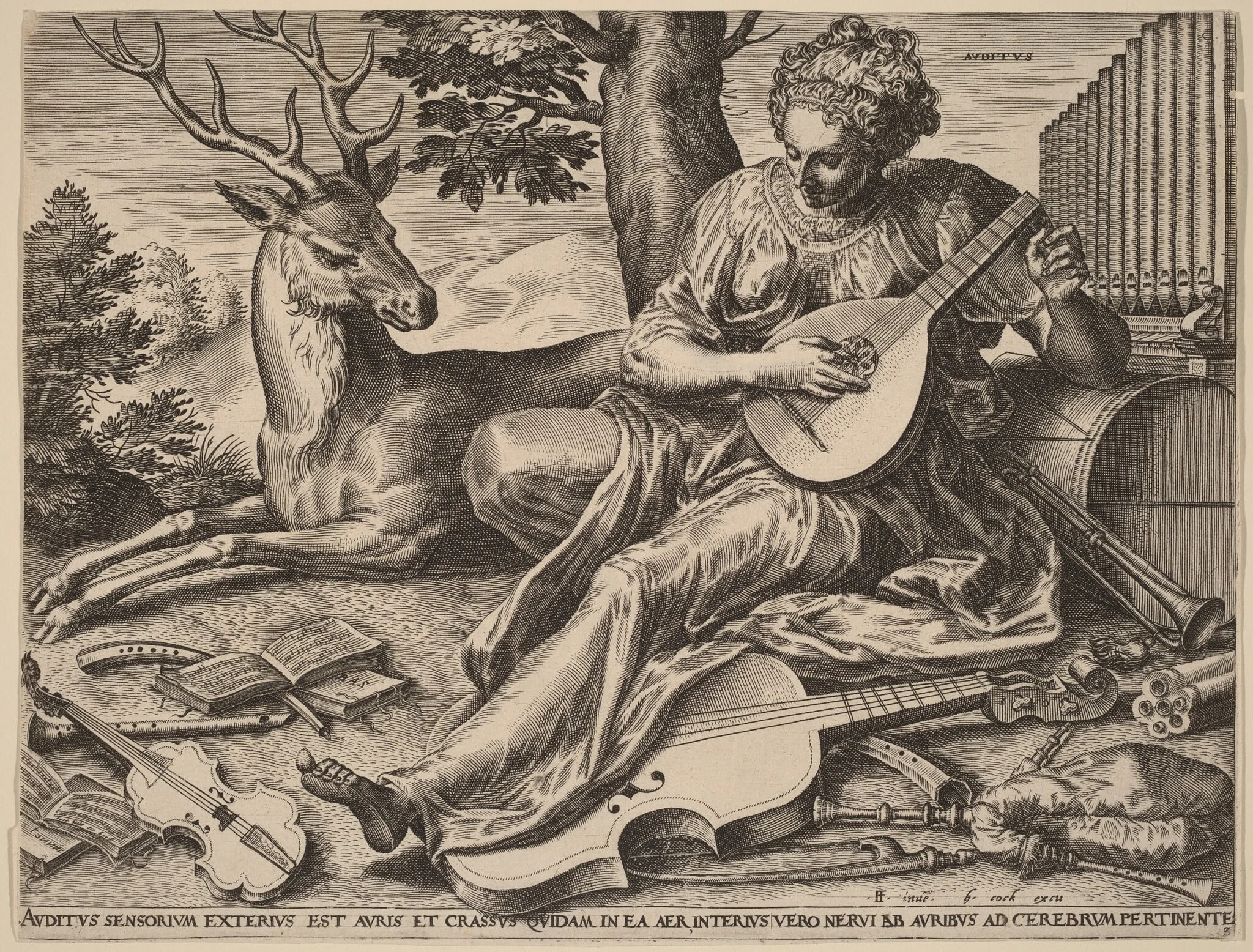 Auditus (Hearing), detail