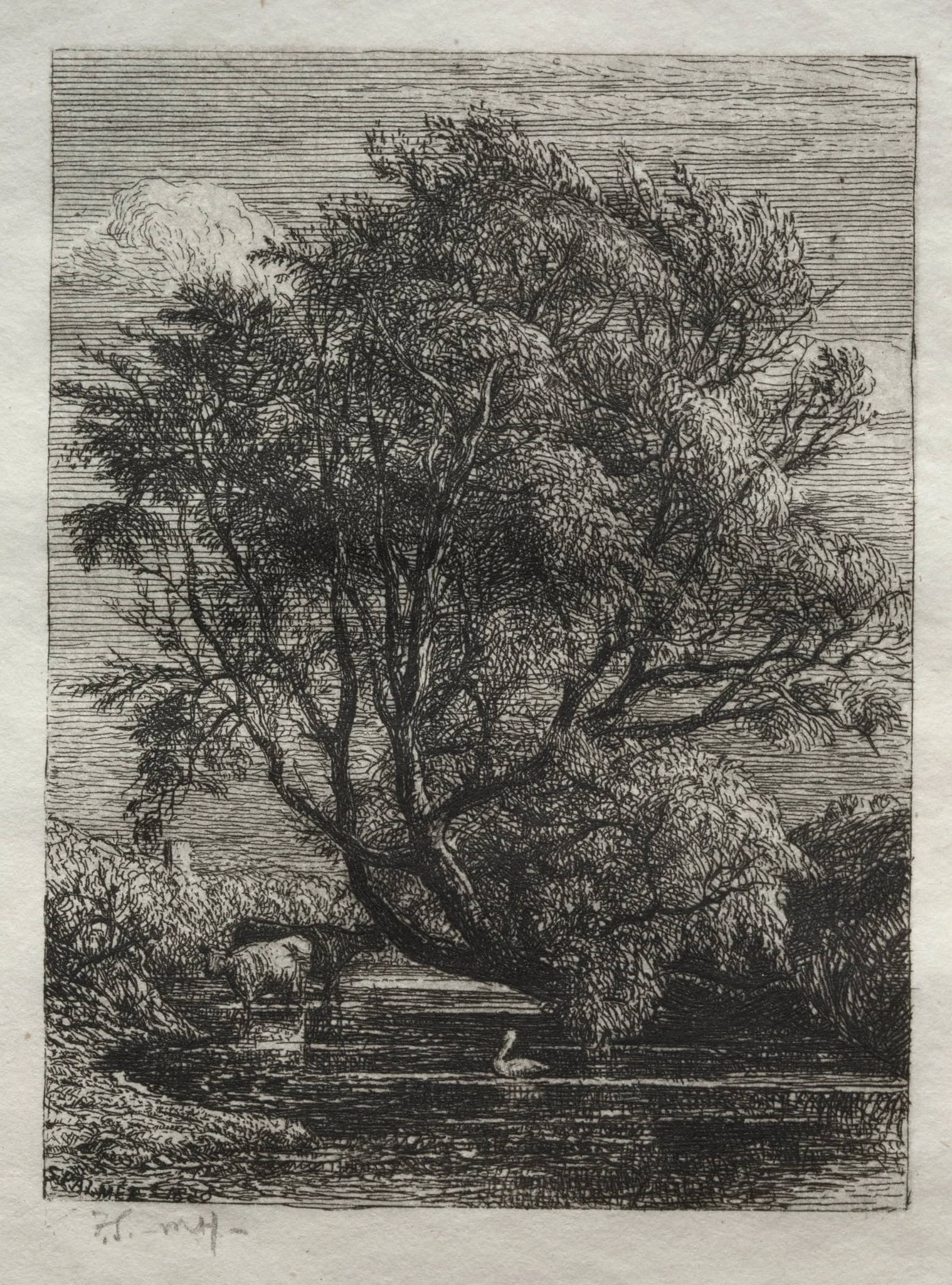 The Willow, detail