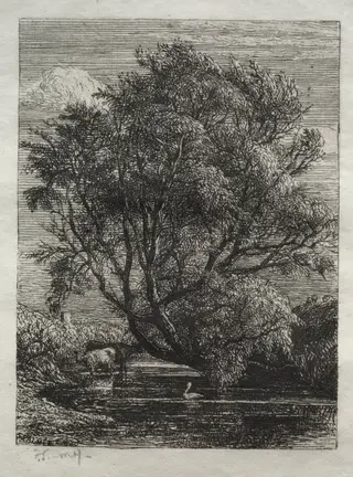 The Willow, by Samuel Palmer, 1850