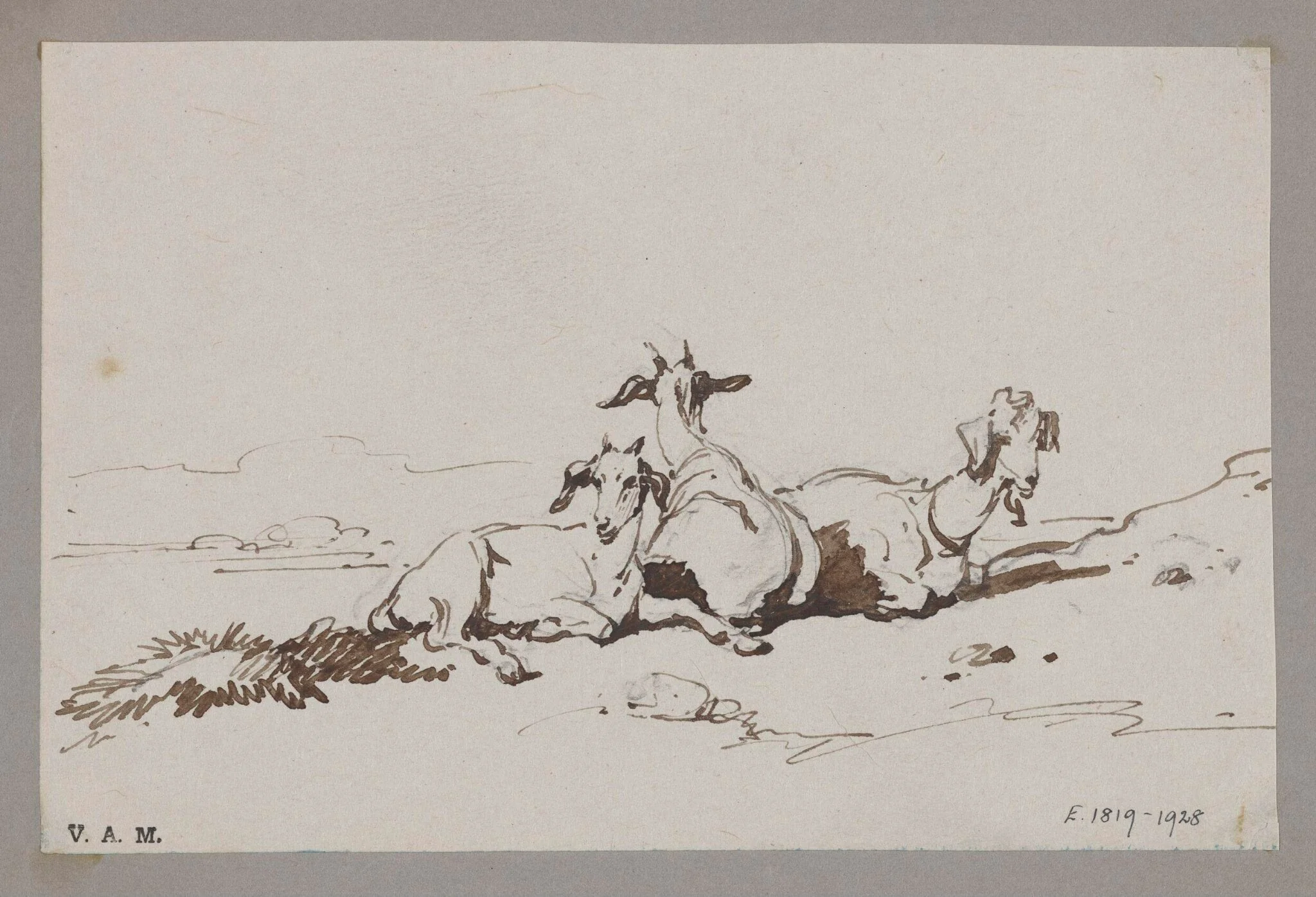 Three goats, detail