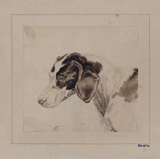 Watercolour of a dog, by Edwin Landseer, watercolor, 1812